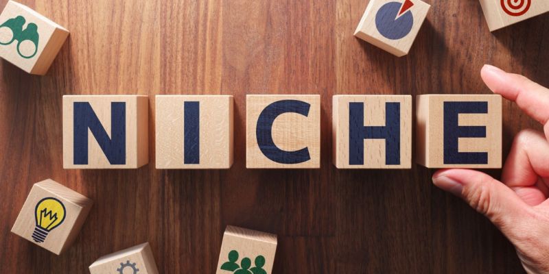 define your niche